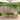 Set mobilier de grădină 5 piese textil model frunze/lemn masiv