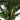 Palmier artificial cu 3 trunchiuri, verde, 180 cm, PP