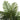 Palmier artificial cu 3 trunchiuri, verde, 180 cm, PP