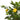 Lămâi artificial cu 3 trunchiuri, verde, 85 cm, PP