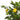 Lămâi artificial cu 3 trunchiuri, verde, 120 cm, PP