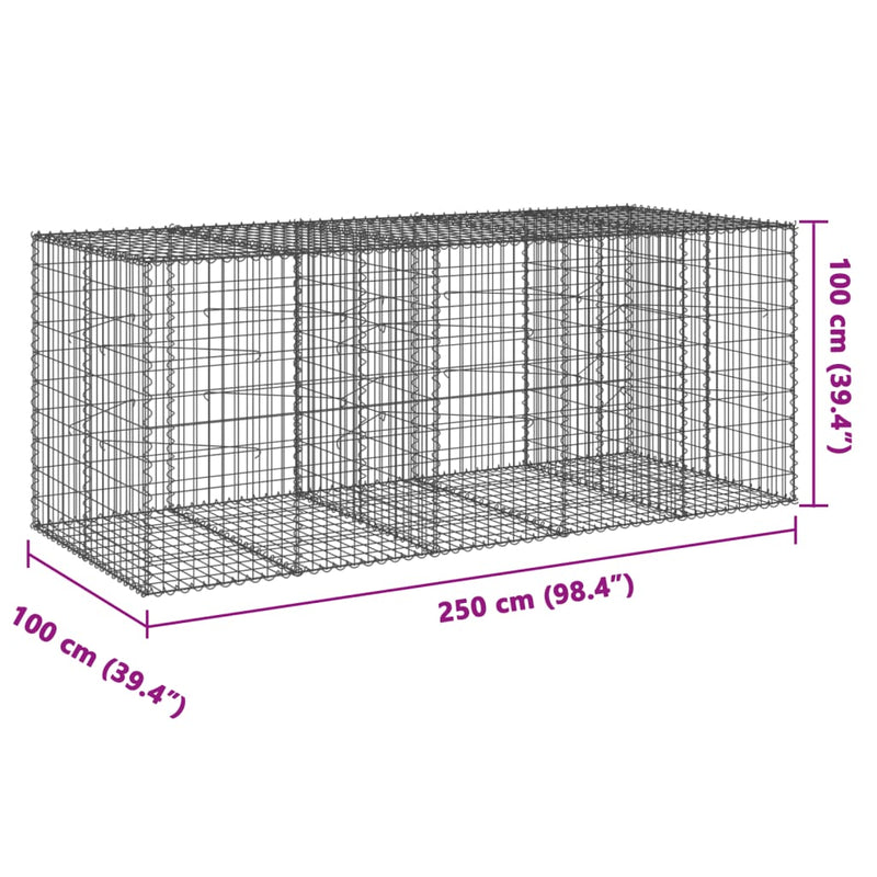 Coș gabion cu capac, 250x100x100 cm, fier galvanizat