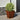 Jardiniere de grădină 2 buc 30x30x30 cm Oțel pentru intemperii