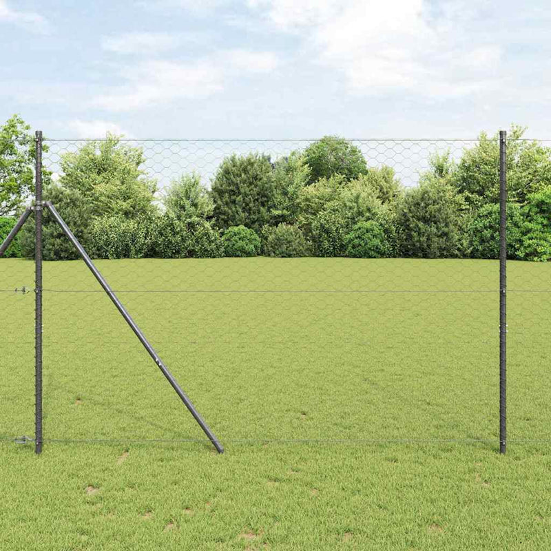 Fixare pentru gard hexagonal 10 x 1,6 m Oțel cu strat de PVC