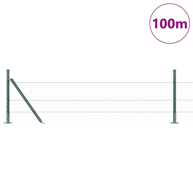 Gard hexagonal cu bază din beton 100 x 0,4 m Verde Plasă