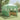 Seră cu cadru pop-up cu acoperiș Verde 280 x 410 x 315 cm Fier