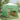 Seră cu cadru pop-up cu acoperiș Verde 290 x 290 x 315 cm Fier