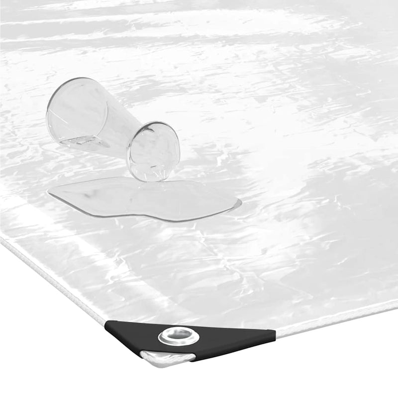 Prelata transparenta cu ochiuri 1x5 m PVC