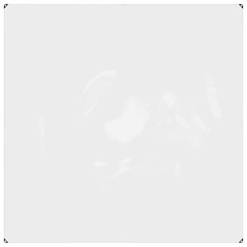 Prelată transparentă cu inele de fixare 2x2 m PVC
