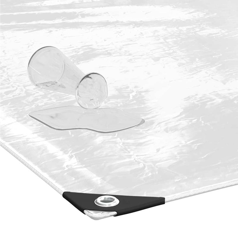Prelata transparenta cu ochiuri 5x10 m PVC