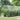 Prelata transparenta cu ochiuri 5x12 m PVC