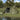 Cort de pescuit cu acoperiș Camuflaj 514 x 465 x 187 cm
