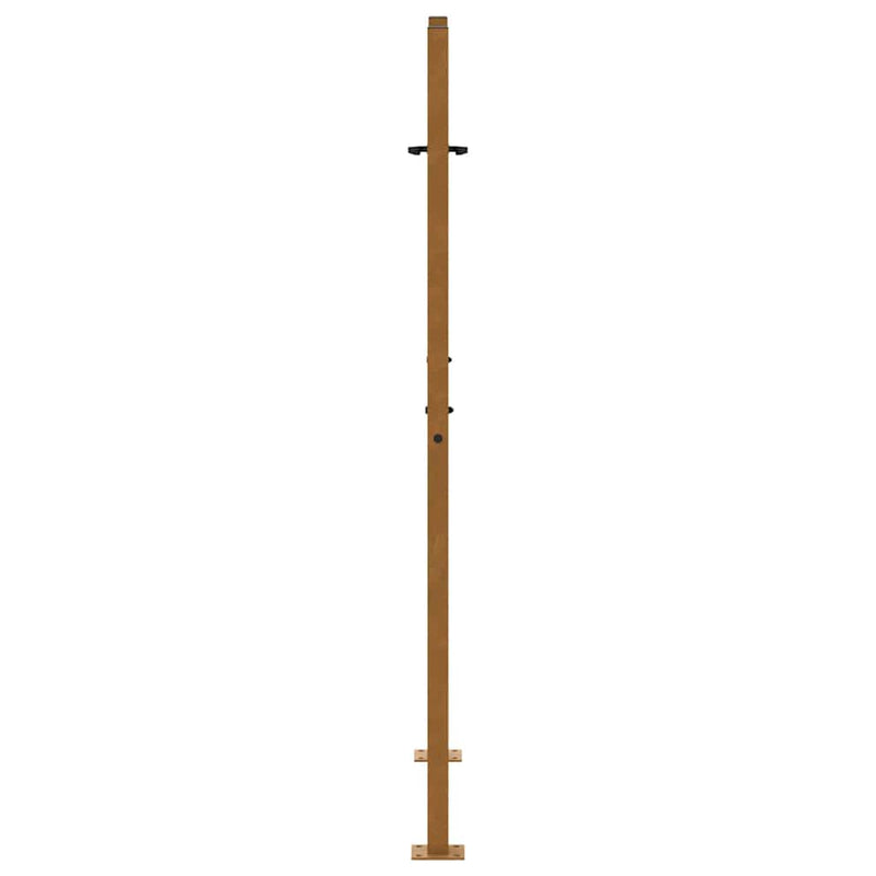 Poartă de grădină 100x150 cm, oțel rezistent la intemperii, model flacără