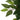 Ficus artificial 480 de frunze 130 cm verde