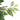 Ficus artificial 756 frunze 170 cm verde