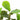 Ficus artificial 48 de frunze 165 cm verde