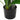 Copac artificial Dracaena 36 de frunze 120 cm verde