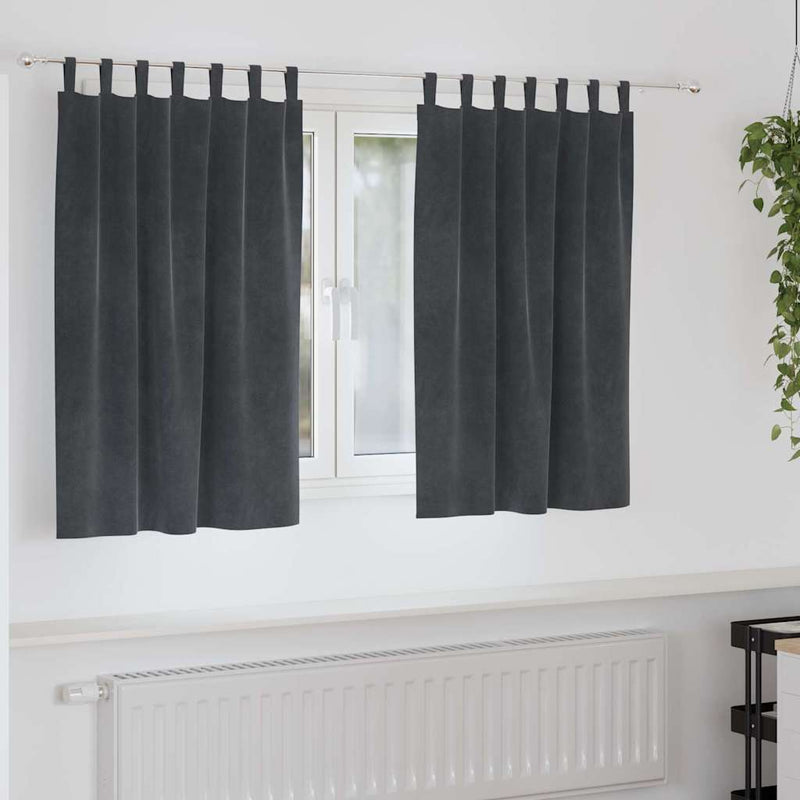 Perdele 2 buc. Gri deschis 140 x 140 cm Catifea