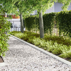 Margine pentru gazon 30 buc. 100 x 0,05 x 15 cm Alb