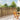 Gard din bambus 300 x 125 cm Bambus natural