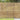 Gard din bambus 300 x 180 cm Bambus natural
