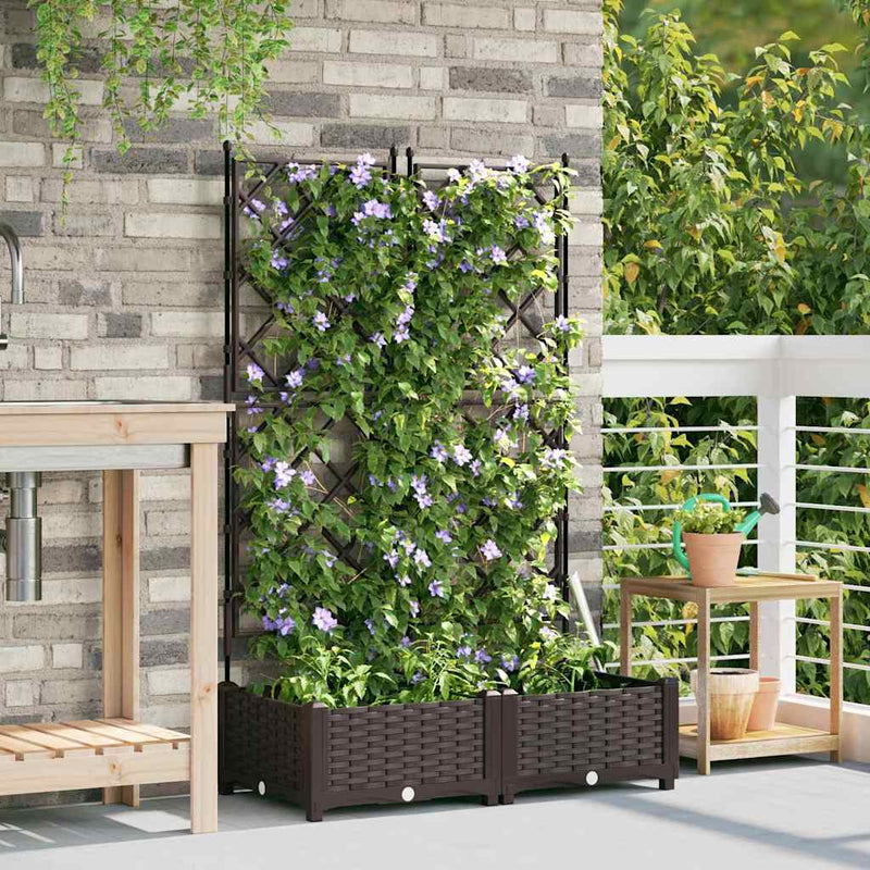 Vază pentru Grădină 2 buc. Maro 80 x 40 x 125,5 cm PP