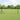 Gard Euro 0,8 x 10 m Fier acoperit cu PVC Verde