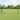 Gard Euro 0,6 x 25 m Fier acoperit cu PVC Verde