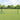 Gard Euro 0,6 x 25 m Fier acoperit cu PVC Verde