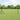 Gard Euro 0,8 x 25 m Fier acoperit cu PVC Verde