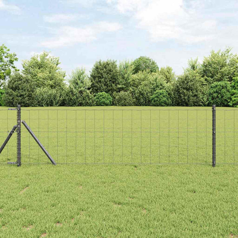 Gard Euro 0,6 x 10 m Fier acoperit cu PVC Gri
