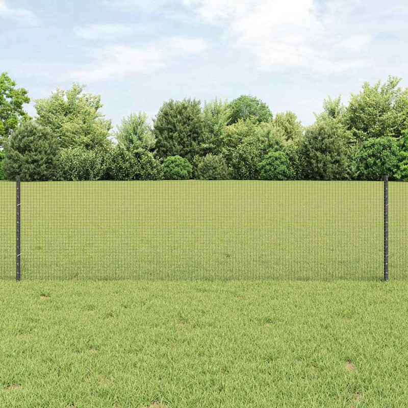 Gard din plasă sudată cu stâlpi 50 x 0,6 m Oțel cu strat de PVC