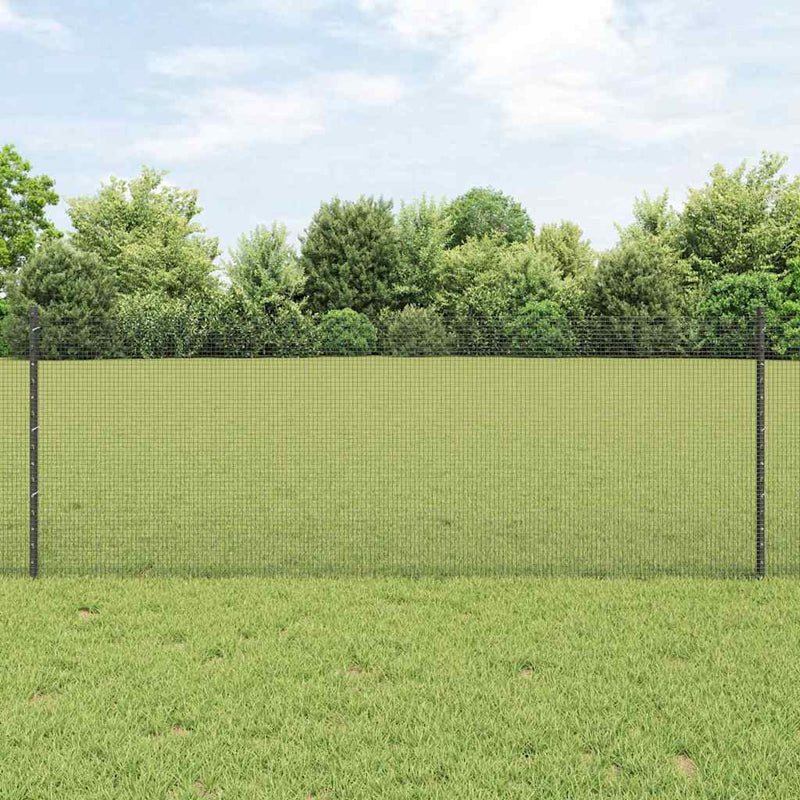 Gard din plasă sudată cu stâlpi 100 x 0,8 m Gri Plasă