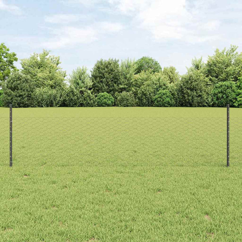 Gard hexagonal cu stâlp 50 x 0,5 m Oțel cu strat de PVC Gri