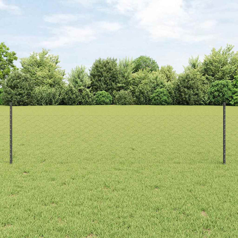Gard hexagonal cu stâlp 50 x 0,5 m Oțel cu strat de PVC Gri