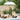 Parasol Balinez Crem 190 x 190 x 260 cm