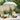 Parasol Balinez 215 x 215 x 260 cm Bumbac, Lemn masiv și Bambus