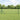 Gard cu plasă de sârmă 10 x 0,8 m Oțel Verde