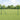 Gard hexagonal 1 x 10 m PVC Verde