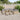 Set de canapele pentru grădină 14 buc. Bej poliratan