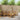 Set de canapele de exterior 5 buc. natural