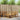 Set de canapele de exterior 5 buc. natural Lemn Solid de Acacia
