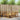 Set de canapele de exterior 5 buc. natural Lemn Solid de Acacia