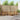 Set de canapele de exterior 7 buc. natural Lemn Solid de Acacia