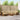 Set de canapele de exterior 8 buc. Natural și Bej