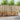 Set de canapele de exterior 3 buc. natural Lemn Solid de Acacia