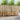 Set de canapele de exterior 3 buc. natural Lemn Solid de Acacia