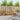 Set de canapele de exterior 4 buc. natural Lemn Solid de Acacia