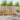Set de canapele de exterior 4 buc. natural Lemn Solid de Acacia