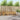 Set de canapele de exterior 4 buc. natural Lemn Solid de Acacia